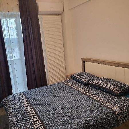 Апартаменты Apartament Dem Radulescu Рымнику-Вылча Экстерьер фото