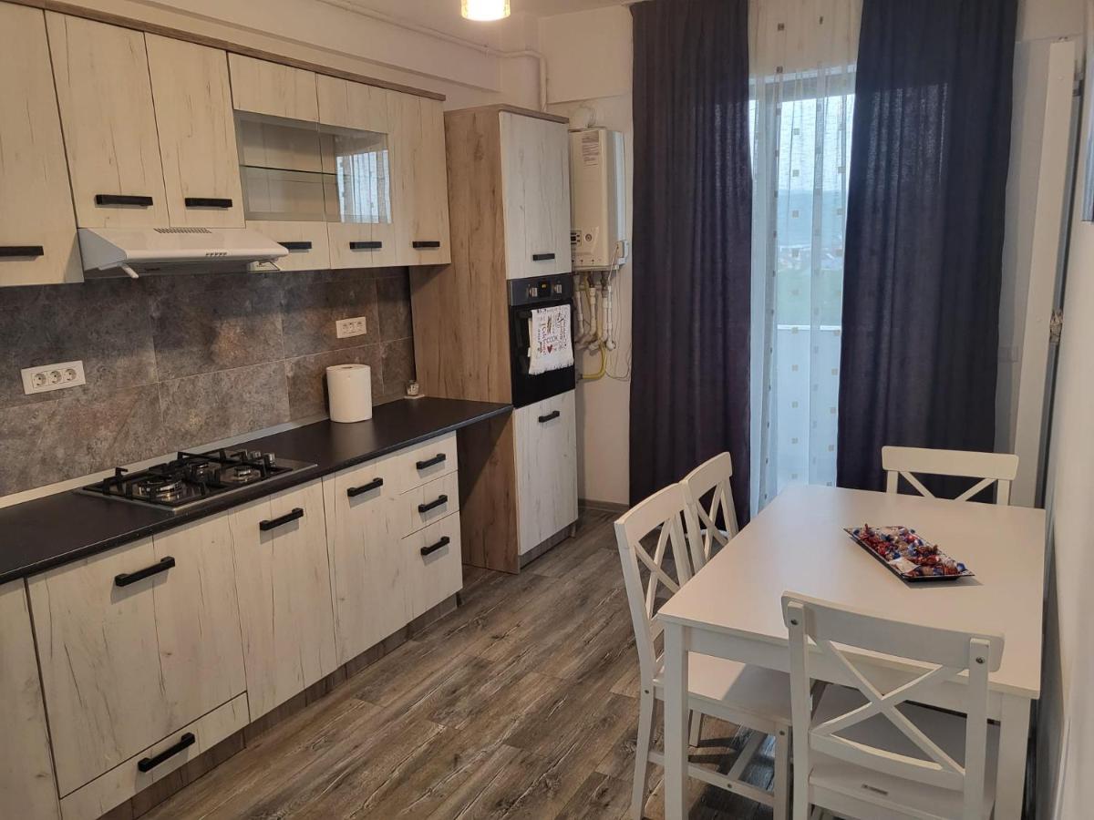 Апартаменты Apartament Dem Radulescu Рымнику-Вылча Экстерьер фото