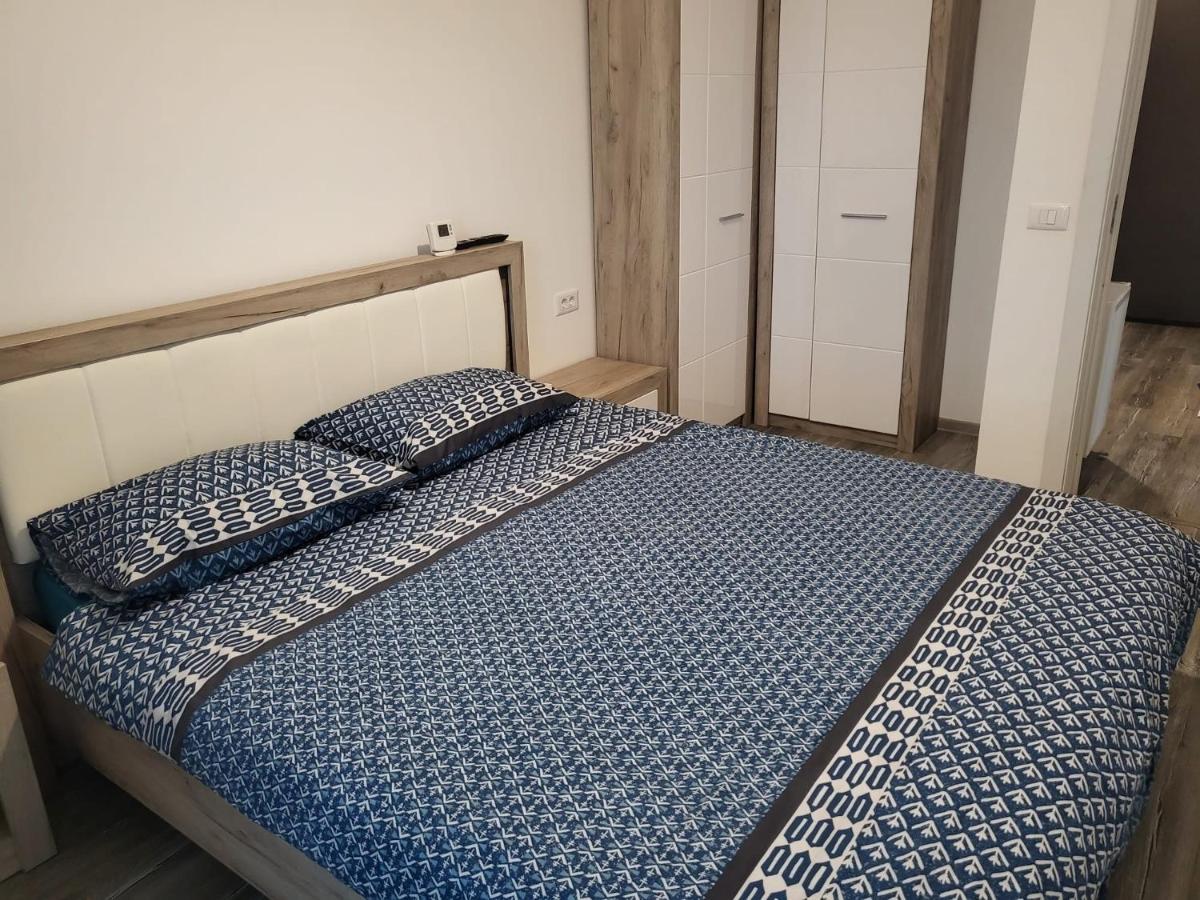 Апартаменты Apartament Dem Radulescu Рымнику-Вылча Экстерьер фото