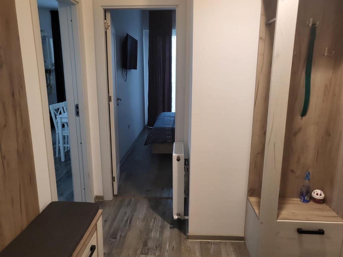 Апартаменты Apartament Dem Radulescu Рымнику-Вылча Экстерьер фото