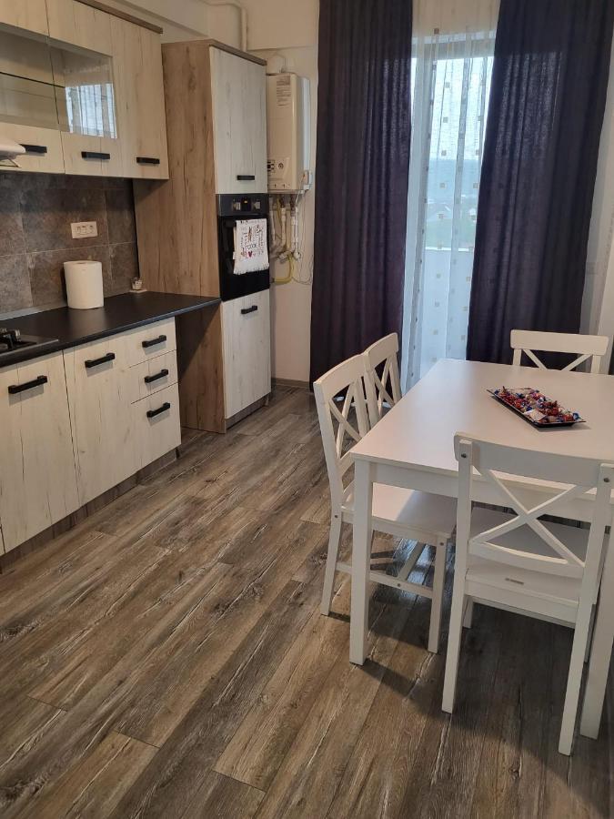 Апартаменты Apartament Dem Radulescu Рымнику-Вылча Экстерьер фото