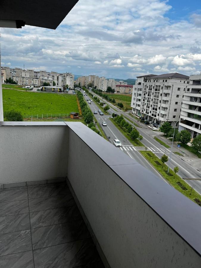 Апартаменты Apartament Dem Radulescu Рымнику-Вылча Экстерьер фото
